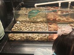 -韩盛·盛江山自助料理(中街大悦城店)