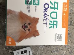 -爱侣宠医·鹦鹉专科·小型哺乳类·异宠专科(灵石路店)