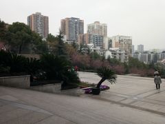 -重庆歌乐山烈士陵园