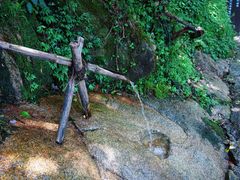 -大鄣山卧龙谷景区