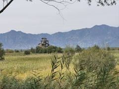 -野鸭湖国家湿地公园