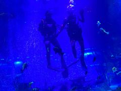 -沈阳海洋探索中心