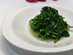 清炒豆苗-西郊壹号