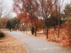 -东郊湿地公园