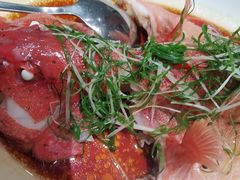 -新兴·金羊座·粤菜点心(乐峰店)