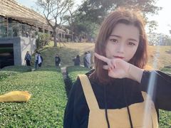 -雪绿茶博物馆