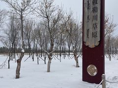 -敕勒川草原文化旅游区