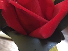 -龙禧渔村酒楼