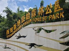 -西双版纳原始森林公园