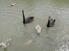 -呀诺达热带雨林