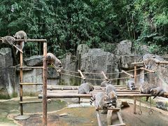 -杭州野生动物世界
