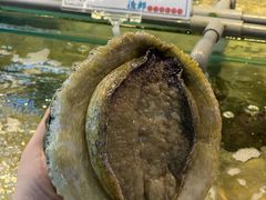 -海九澎湖海鲜餐厅