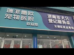 -瑞派雷欧宠物医院·24h夜诊·心脏骨科牙科·全科重症转诊中心(无影山店)