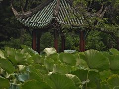 -房湖公园