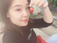 -小鱼草莓采摘园农家乐·小鱼餐厅