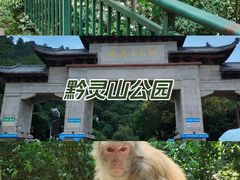 -黔灵山公园