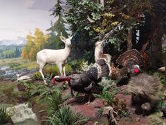 -陕西自然博物馆