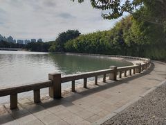 -白鹭洲公园