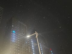 -海底捞火锅(绿洲梦想店)
