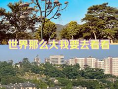 -白石龙音乐公园