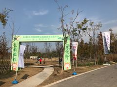 -上海长兴岛郊野公园