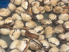 -一方渔歌蒸汽海鲜自助(文化路万达广场店)