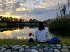 -白鹭湾湿地公园