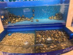 水产区-乔哥铭洋海鲜自助(皇城恒隆广场店)