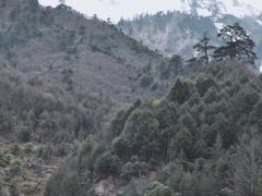 -硗碛藏寨·神木垒景区