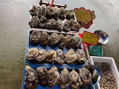 -蚝专家(北滘店)