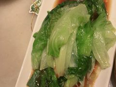 -金鼎轩(方庄天坛店)
