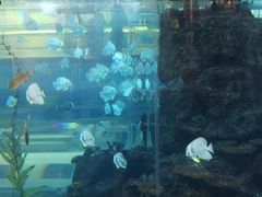 -鸿通城购物中心