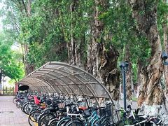 -广东外语外贸大学(白云山校区)