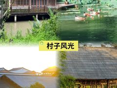 -乌村
