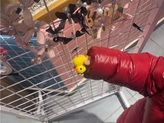 -姜胖胖无限自助烤肉(弹子石店)