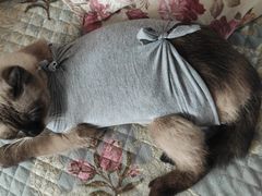 -派特宠物医院(圆融广场店)