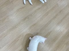 -1013 PET SHOP 宠物商店(近铁城市广场店)