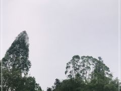 -大雁山风景区