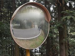 -青龙山国家森林公园
