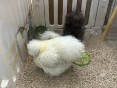 -万达广场(槐房店)