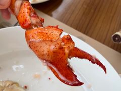 -香港都会海逸酒店