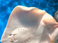 -福州罗源湾海洋世界旅游区