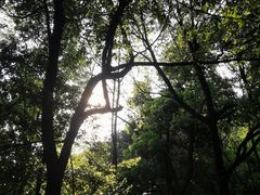 -杭州半山国家森林公园