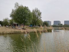 -大兴滨河森林公园