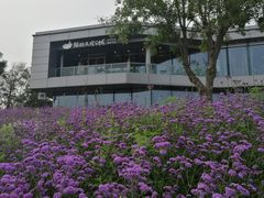 -猫的天空之城概念书店(北戴河蔚蓝海岸店)