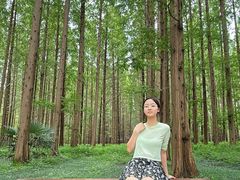 -黄海国家森林公园