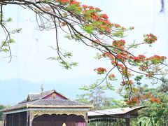 -一寨两国风景区