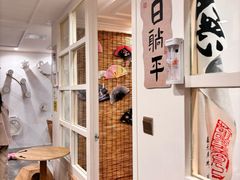 -楼上猫咖(罗湖店)