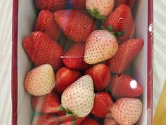 -心乐生活新鲜屋(星海广场店)