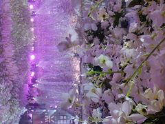 -东方御花园酒店